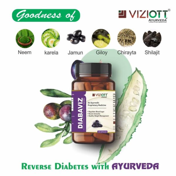 Diabaviz Capsule - Image 4