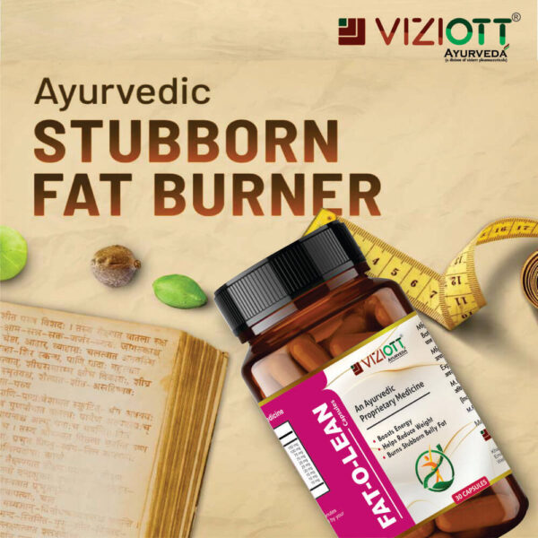 Fat-O-Lean Capsule - Image 3