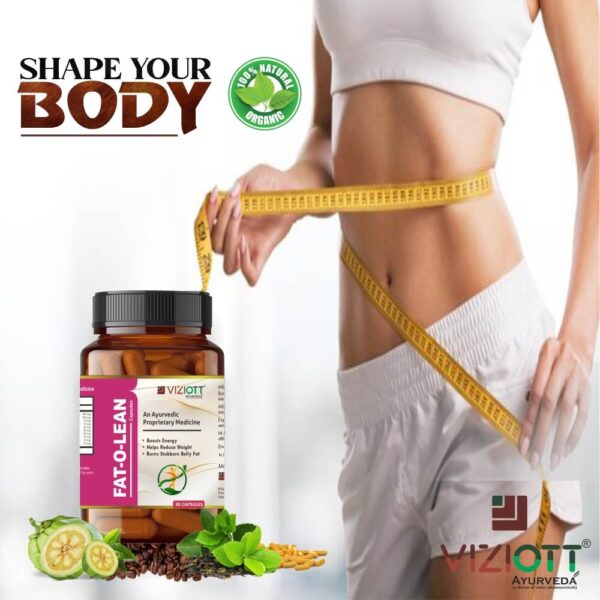 Fat-O-Lean Capsule - Image 4