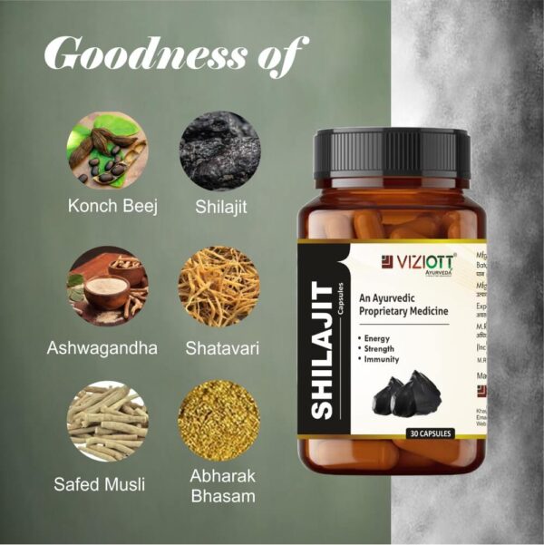 Shilajit Capsule - Image 2