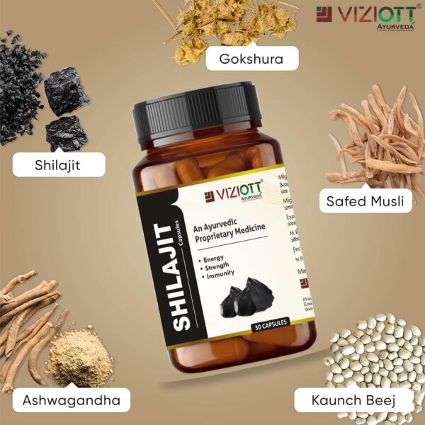 Shilajit Capsule - Image 3