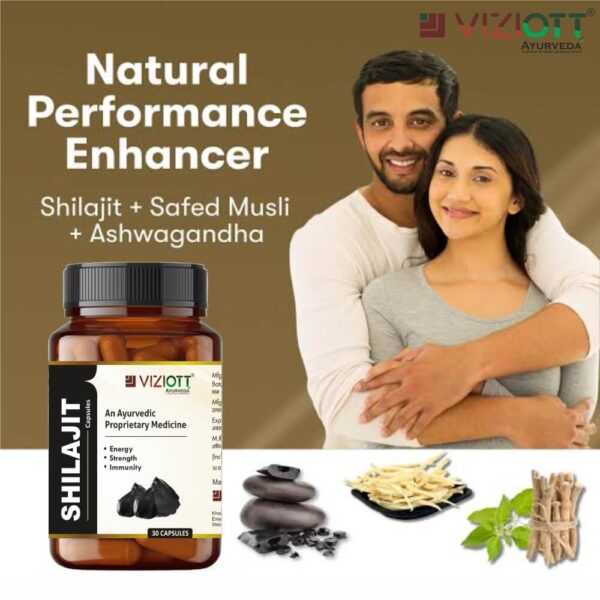 Shilajit Capsule - Image 4