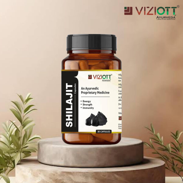 Shilajit Capsule